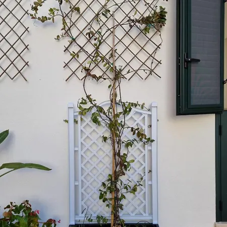 Apartment Blooming Barocco *