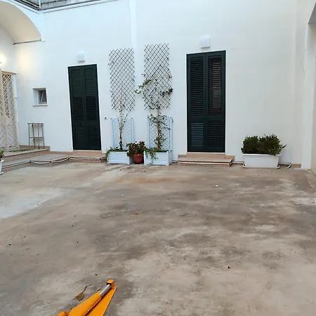 Blooming Barocco
